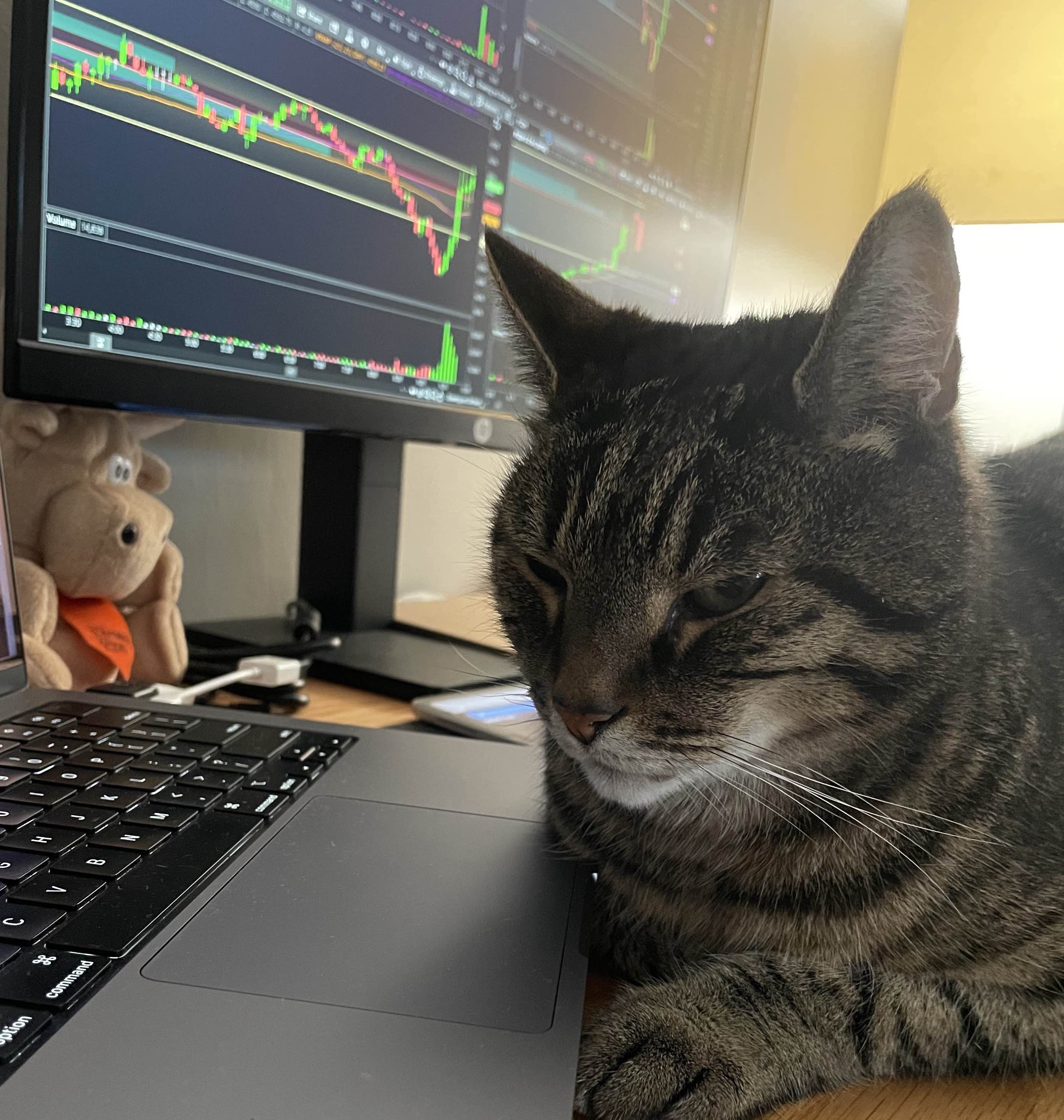 Kinfo kinfo - Verified Trading Performance - natitradess portfolio performance